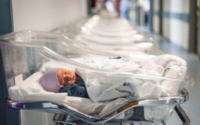 What Is a Special Enrollment Period?